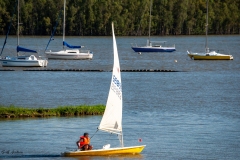 2025/2026 Festive period