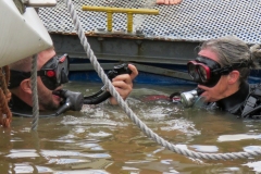 Divers replacing WOM Warps 2023