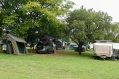 Hawaiian Pool Party November 2025