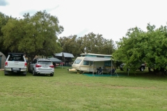 Hawaiian Pool Party November 2025