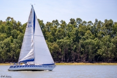 2024 Brian O Friel Distance Race