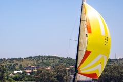 2024 Brian O Friel Distance Race