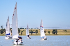 2024 Brian O Friel Distance Race