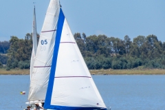 2024 Brian O Friel Distance Race