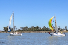 2024 Club Champs distance race