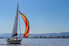 Still Baai Challenge 2 July 2022