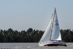 IPNYC 6 hr Endurance Race August 2022